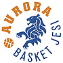 https://img.hrsteelfittings.com/img/basketball/team/a77950f390405e3042f9691c09d63251.gif